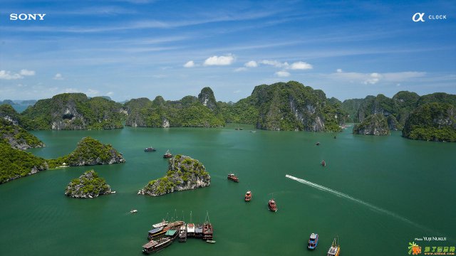 CPU回收，回收CPU，测试版CPU回收