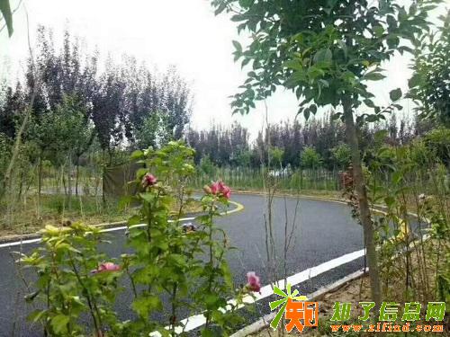 西安宇星驾校时刻准备着