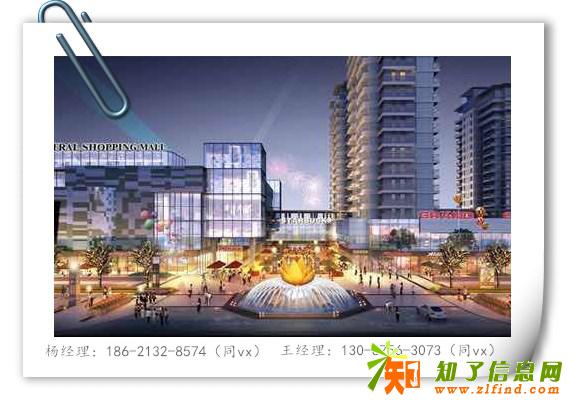 网站平湖恒隆嘉荟城