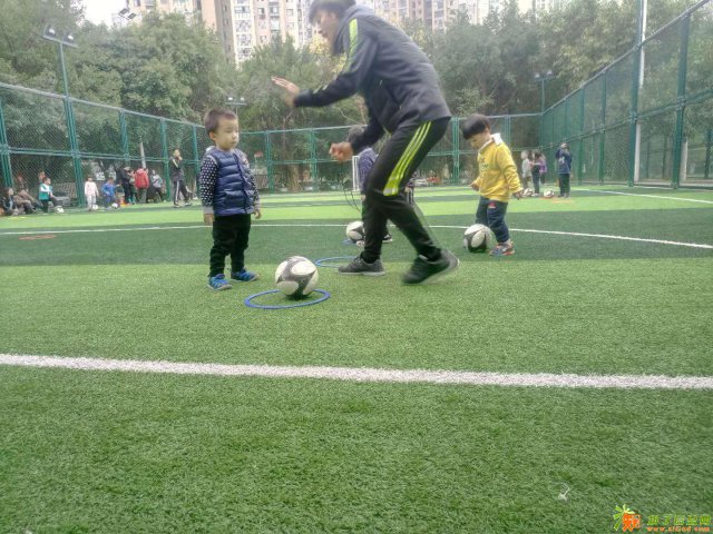 南平建瓯体育中心爱动巅峰少儿足球启蒙培训