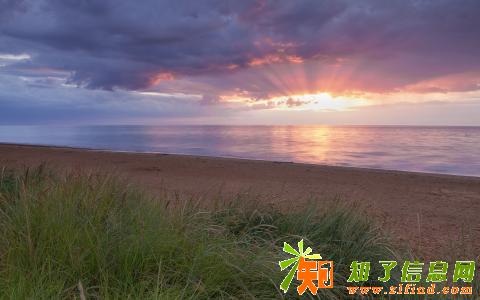 海淀16年网络科技公司转让