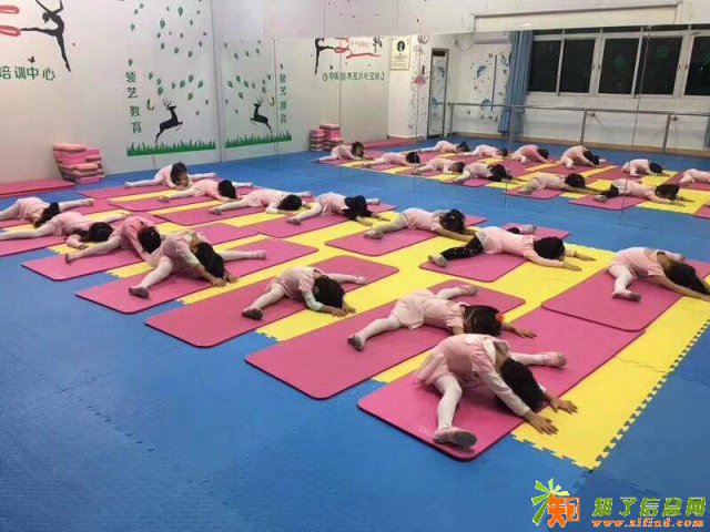 常平领艺教育常年开设少儿中国舞拉丁舞跆拳道培训班