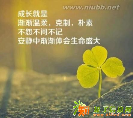 走进智谷享购商城 互联网新型购物加娱乐的商城