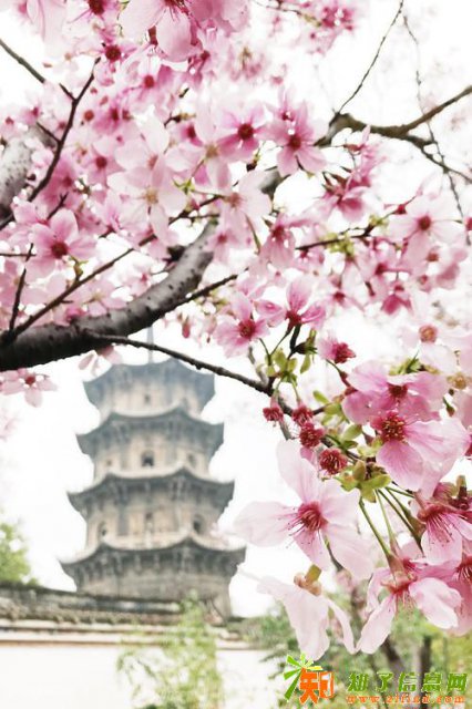 苏州吴江《太湖一品》一生一次 天空之境