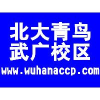 想学IT就来北大青鸟武广校区