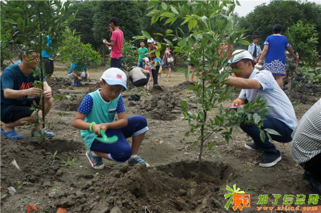 深圳九龙生态园植树DIY野炊亲子活动一日游