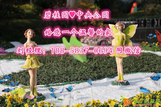 想买海盐碧桂园中央公园找谁有优惠？