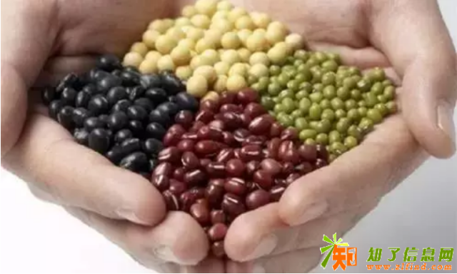 它才是一日三餐最重要的食物，但99%的人都忽略了