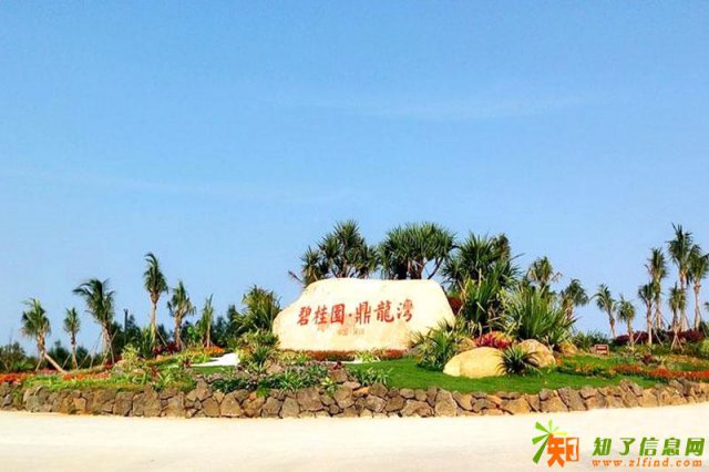 总价35万起的一线海景房碧桂园鼎龙湾（广东湛江）