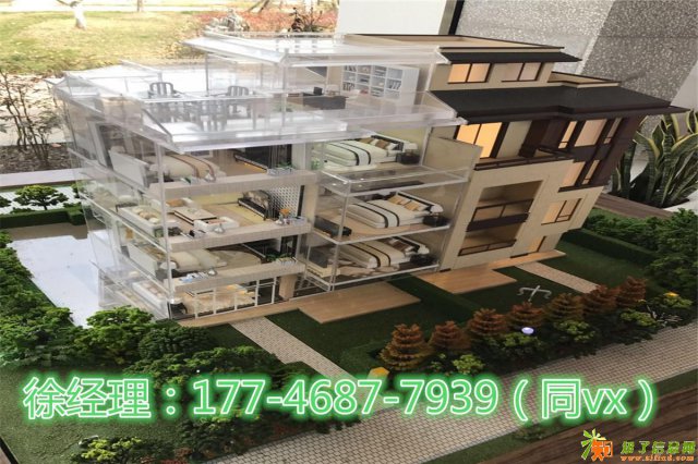 嘉兴海宁十里风荷