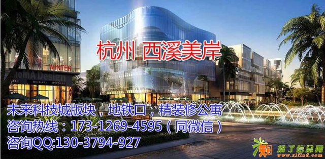 乱了乱了,我心乱了西溪美岸精装修公寓底该不该买呢？