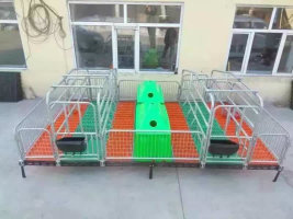 双体母猪产床【腾诚畜牧】