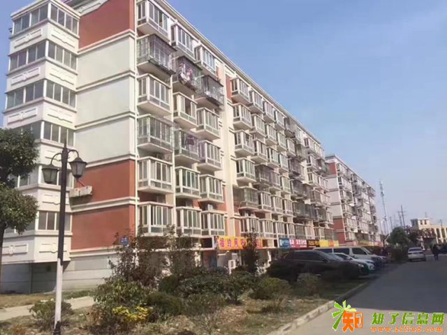 上海小新窝为什么卖的这么好？原因何在？