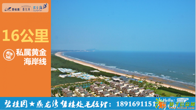 广东湛江碧桂园鼎龙湾楼市大杂烩】