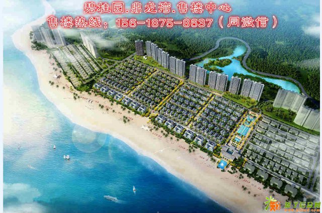 湛江碧桂园鼎龙湾特价通知