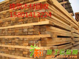 顺义废木材回收圆木收购木方收购