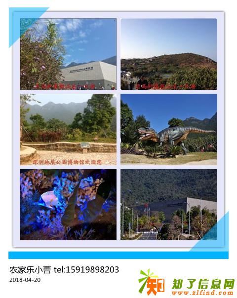 名马轩野战博物馆杨梅坑一日游