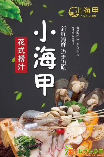 火热加盟小海甲啦