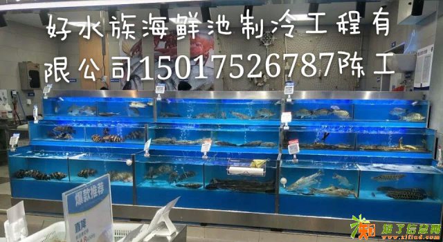 深圳海鲜池建造以海鲜池建设及海鲜池制作设计