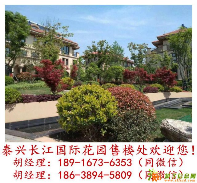 泰兴长江国际花园详情