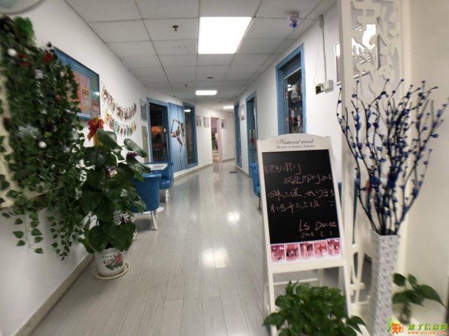 附近哪里有舞蹈学校