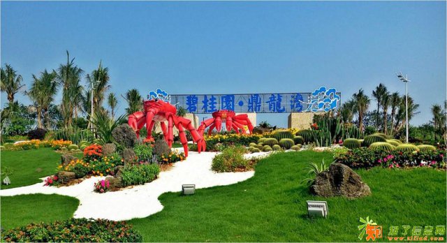 首付10万多一线海景房精装修碧桂园鼎龙湾