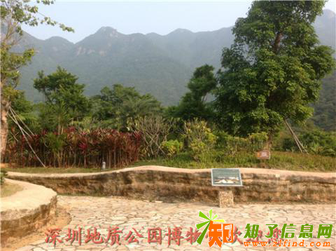 亲子团队抓泥鳅体验拓展休闲一日游深圳