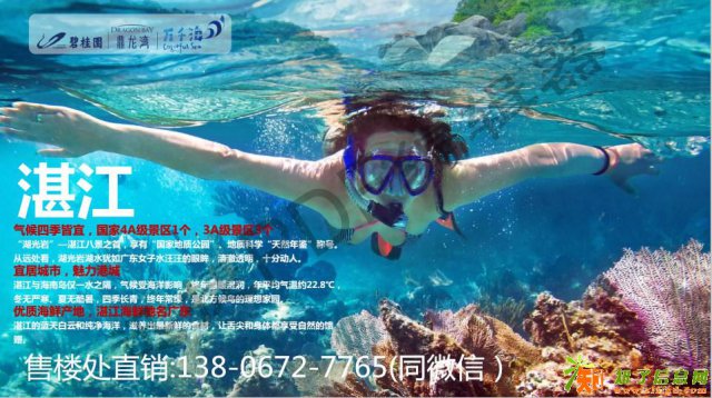 广东湛江碧桂园鼎龙湾 楼盘概况及周边区域分析!