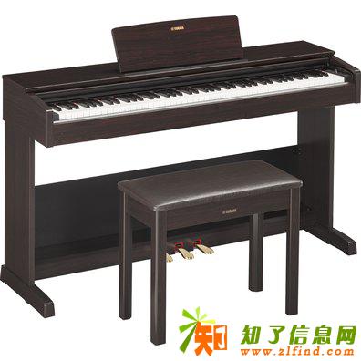 广州哪里买雅马哈和卡西欧手感和音色哪个更好