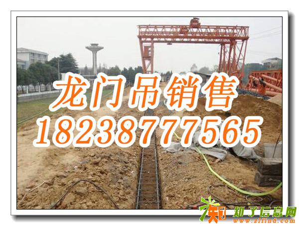 四川自贡龙门吊厂家 圆梦人