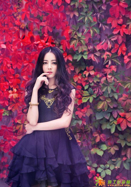 转让带网络文化经营许可证和二类电信增值业务许可