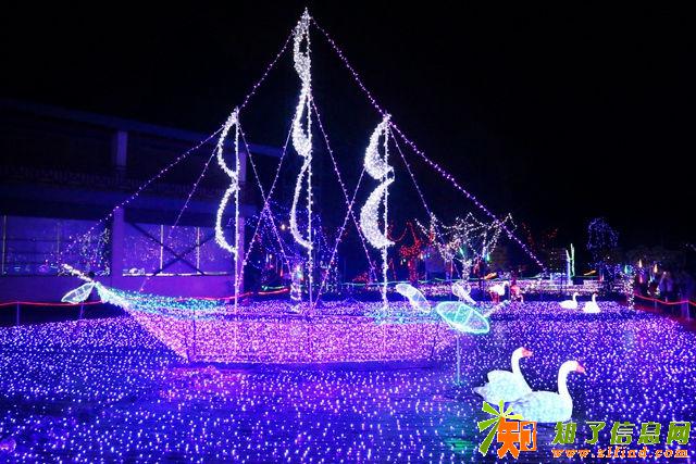 灯光造型展览浪漫灯光设计出租售军事模型出租出售