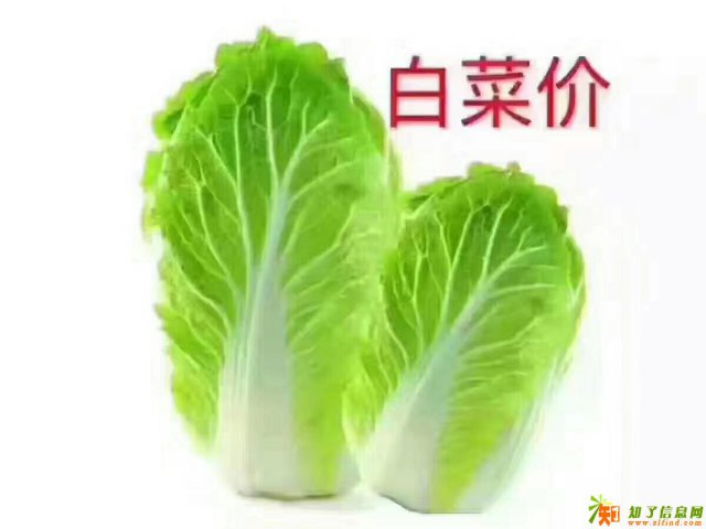 通州文化公司转让，惊喜多多！