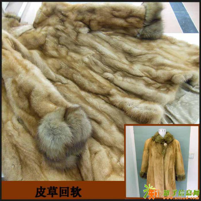 皮草貂皮裘皮大衣沾水缩小发硬去哪回软，修复，补伤？