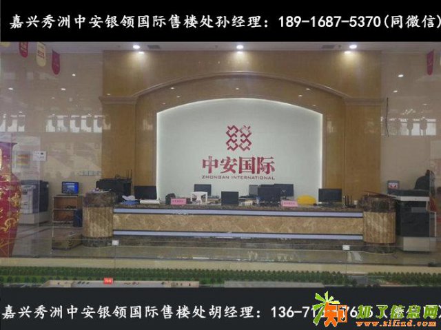 嘉兴中安银领国际秀洲中安银领国际欢迎您