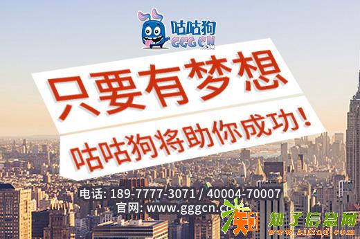 南宁咕咕狗办理兴宁区一般纳税人公司注册