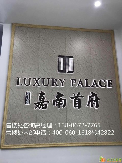 嘉南海盐碧桂园嘉南首府底适不适合投资有没有什么猫腻