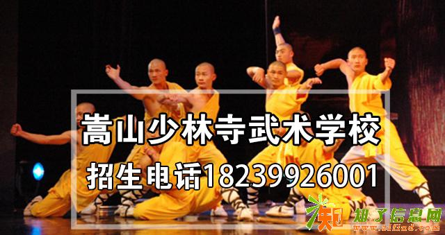 嵩山武僧文武学校学费是多少钱？