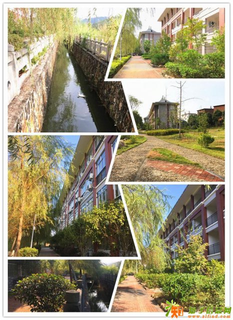 龙岩高端养老院排名 龙岩专业养老院地址