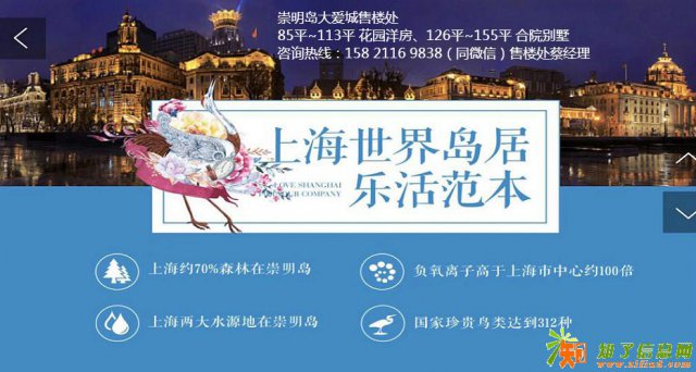 崇明岛大爱城-户型介绍-优惠爆料