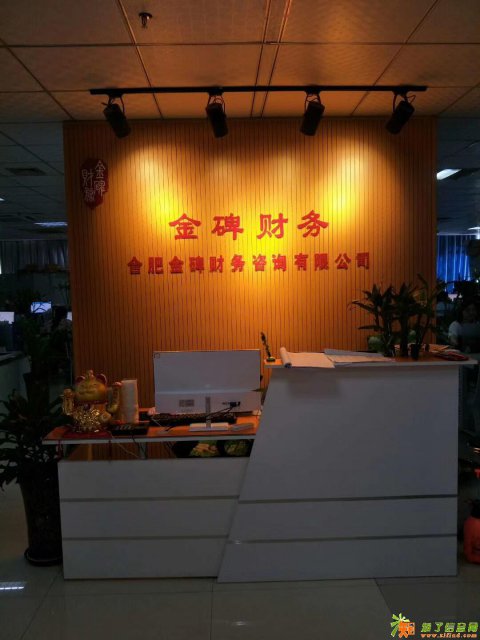 公司注册代理记账财务税务咨询