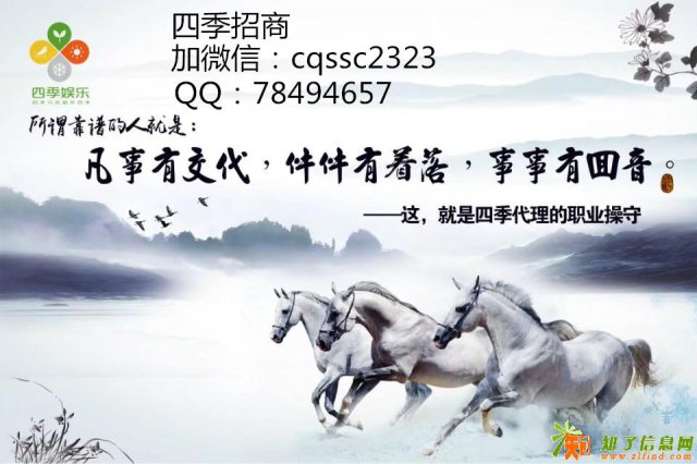 四季娱乐长期招商稳定发展