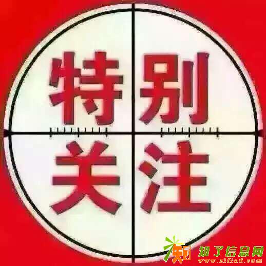 四川哪里可以报名专四专八