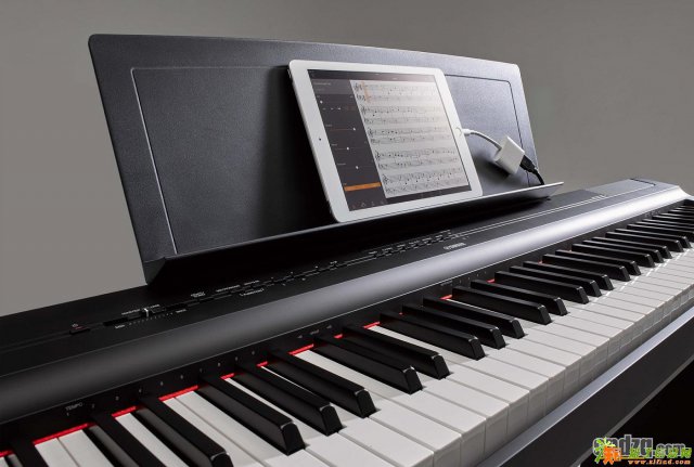广州买雅马哈新品p-125电钢琴就到越秀区博艺琴行