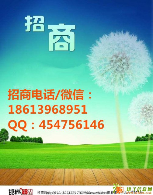 抢手的天下财经招商 赶快带回家