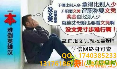 济宁成人高等教育函授报考具体专业