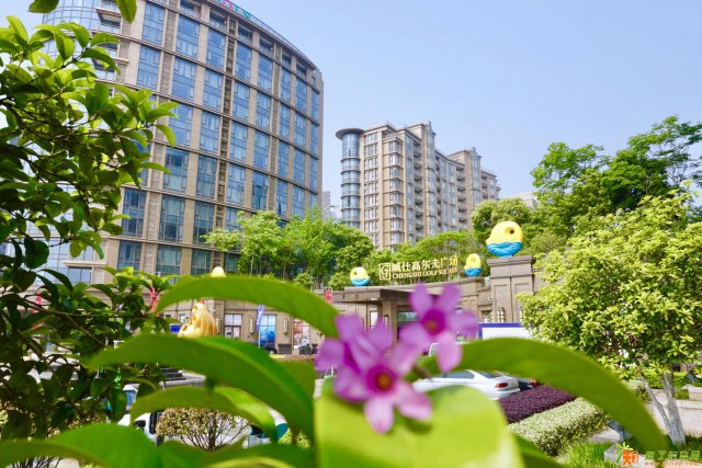 苏州城仕高尔夫酒店公寓 包租吗？租金多少？