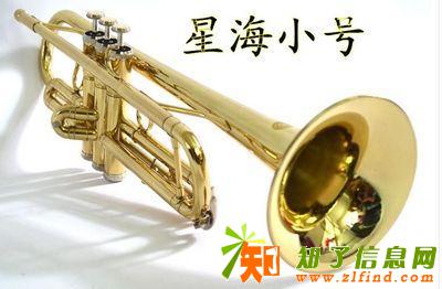 广州哪里有便宜性价比高一点的国产小号乐器买？