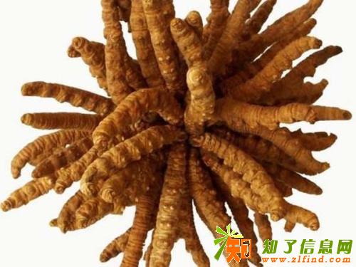 石景山收购冬虫夏草 回收东阿阿胶