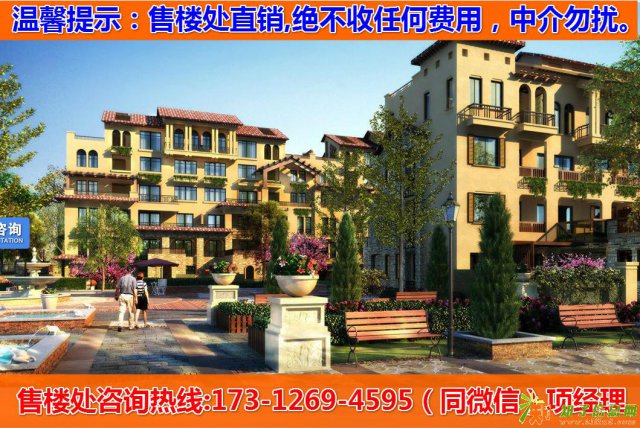 平湖中天熙景诚品为什么这么火爆？不看不知道一看吓一